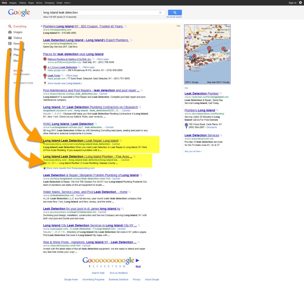 Plumber Internet Marketing Case Study - Long Island Leak Detection - Page One